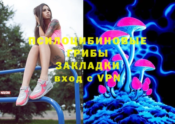 МДПВ Фурманов