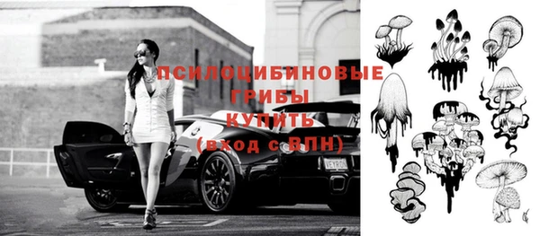 МДПВ Фурманов